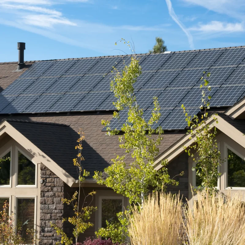 Energía Renovable